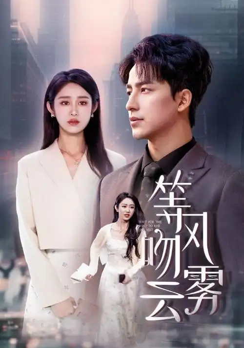 泡泡影视电视剧长夜将明海报